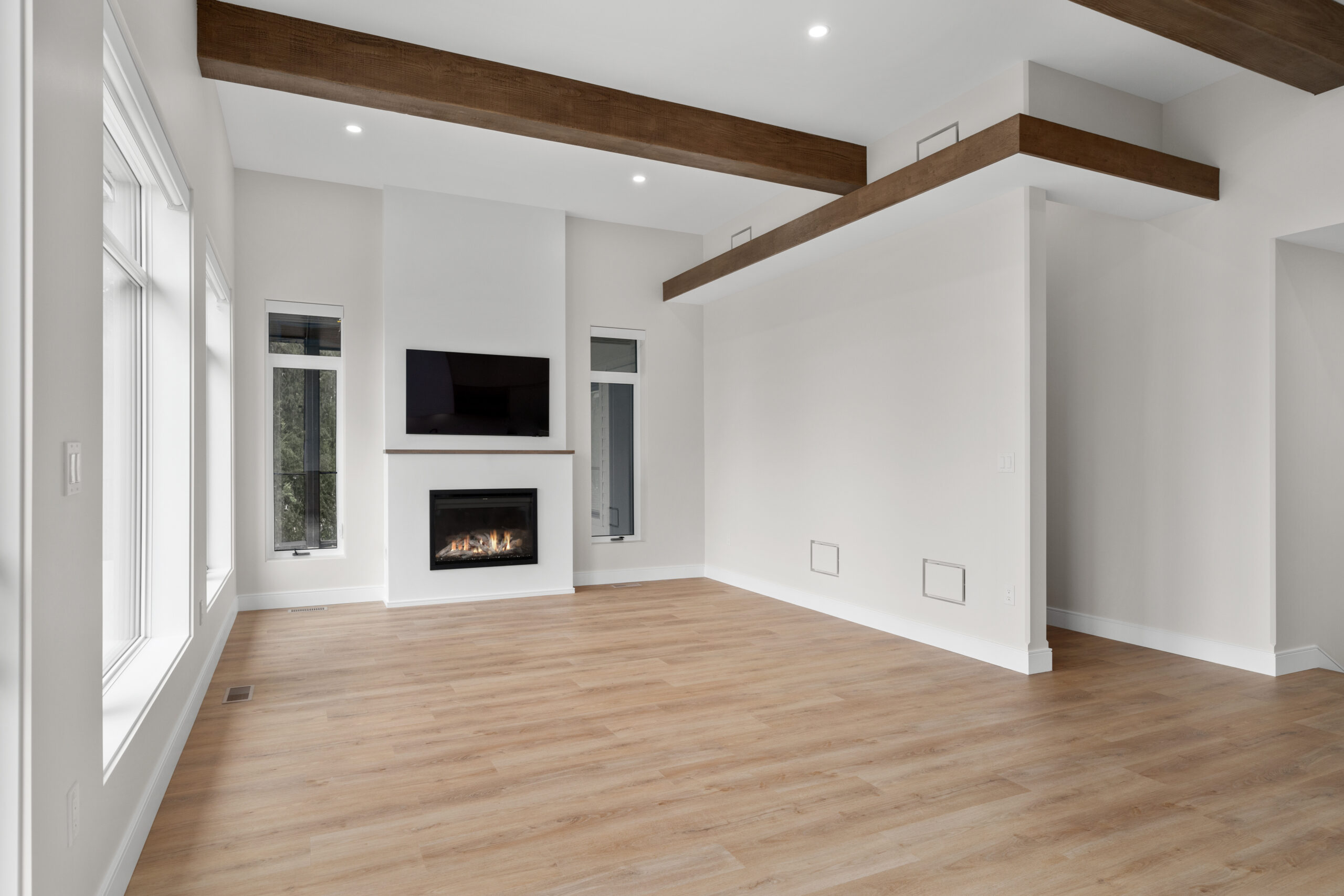 living room with electric fireplace in a net zero home